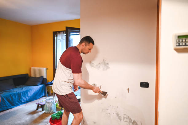  Hendersonville, NC Mold Removal Pros